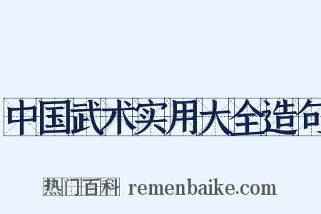中国武术实用大全造句是什么意思的图片